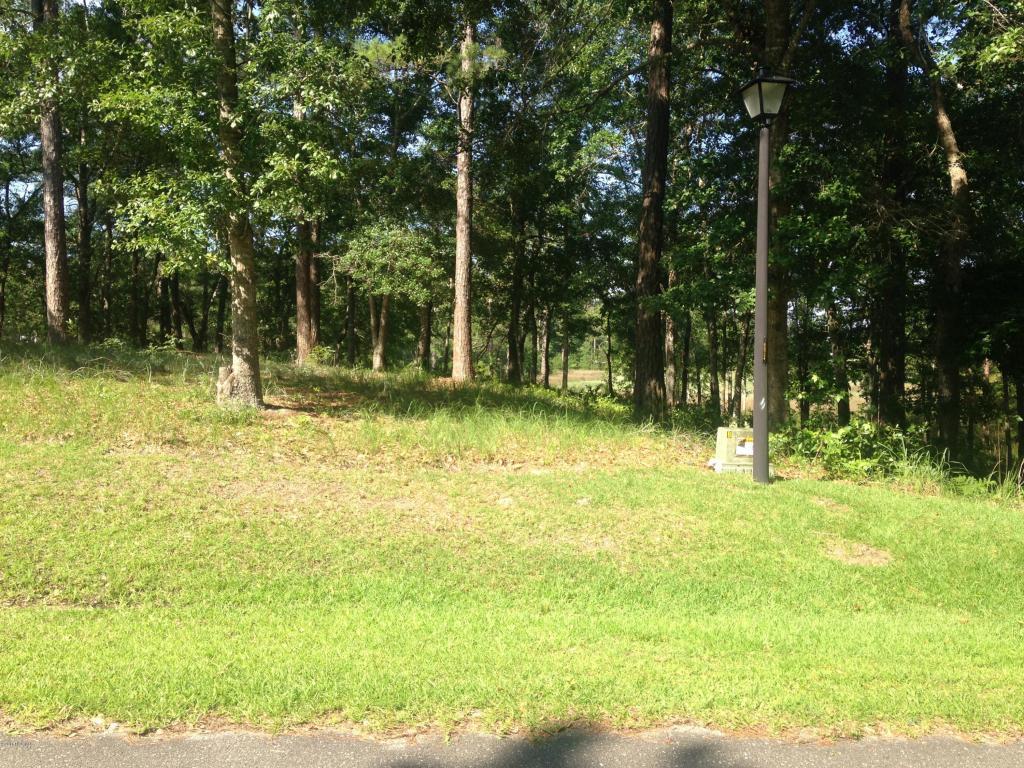 3067 River Hills Drive - Photo 1