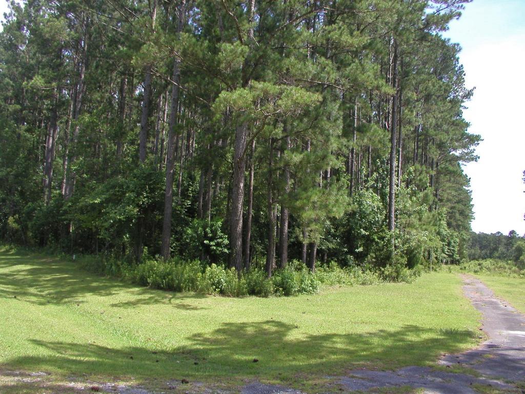 131 Antebellum Drive - Photo 1