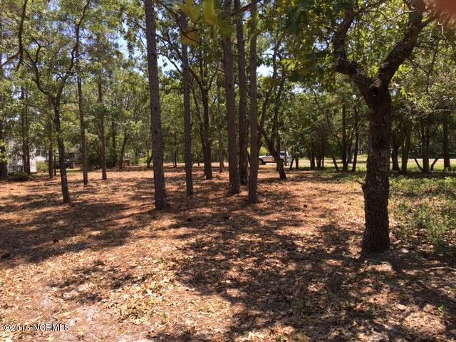 3337 Marlin Drive - Photo 1