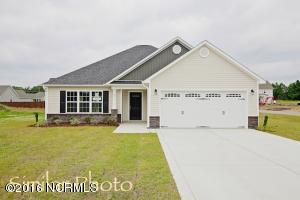 115 South Sea Street, Jacksonville, NC 28546 (MLS #100021039) :: Century 21 Sweyer & Associates