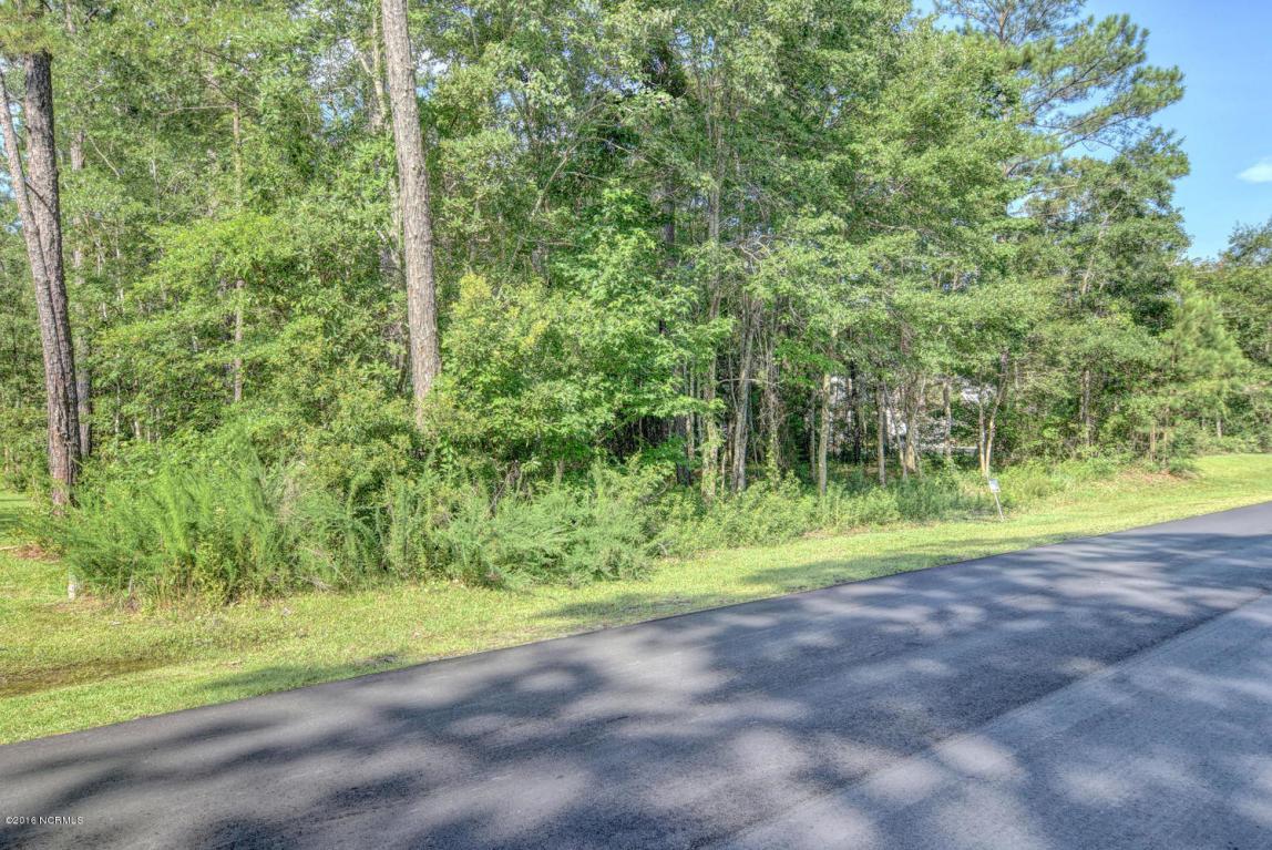 0 Royal Tern Drive, Hampstead, NC 28443 (MLS #100021231) :: Century 21 Sweyer & Associates