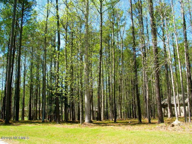 102 Chowan Court - Photo 1