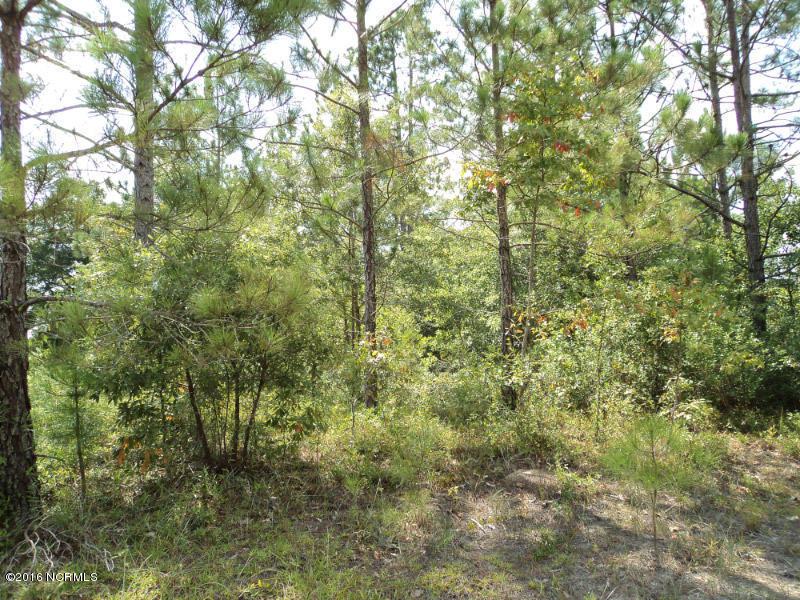 4899 Grinders Way NE, Leland, NC 28451 (MLS #100022407) :: Century 21 Sweyer & Associates