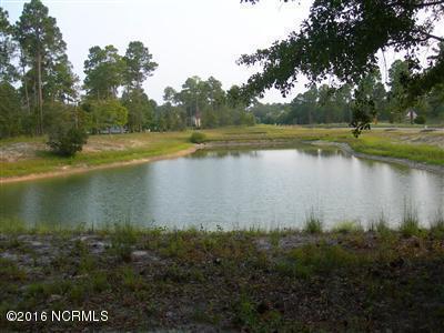 483 Green Needles Court - Photo 1
