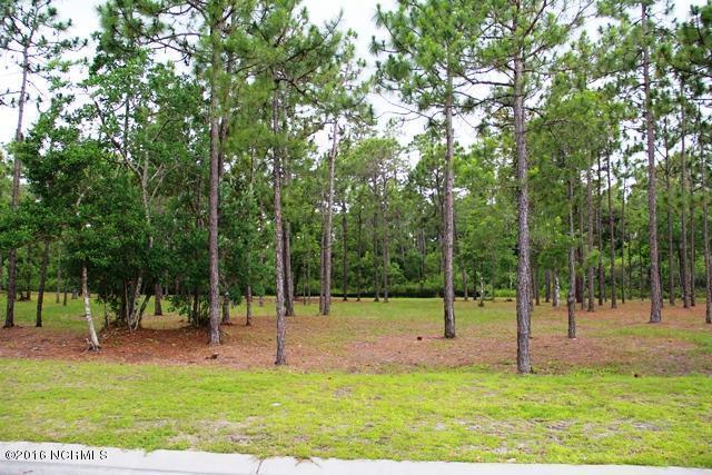 4009 Covedale Lane - Photo 1