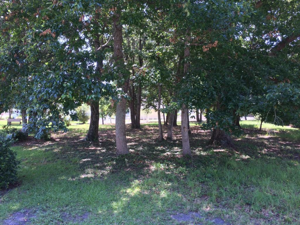 1671 Anita Court - Photo 1