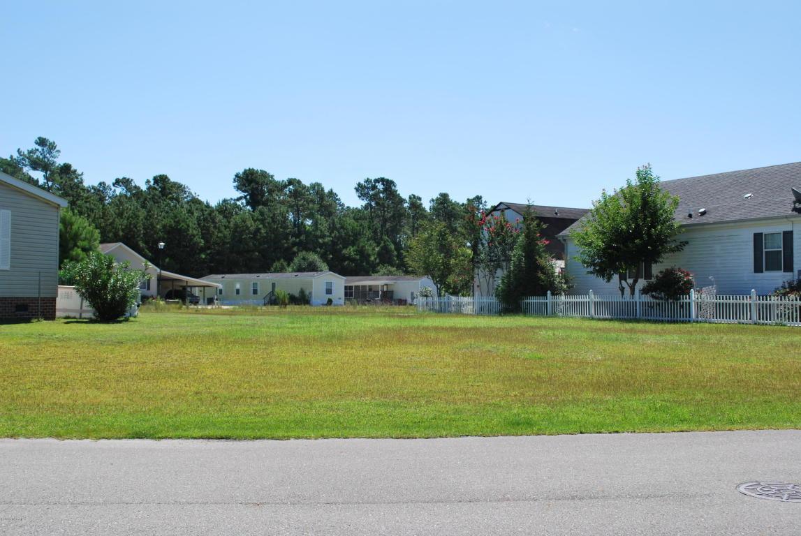 316 Blue Fan Street - Photo 1