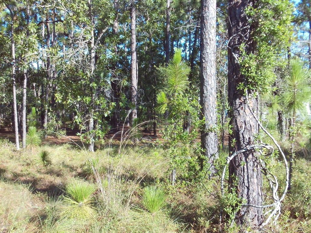 2301 Lumberton Road, Southport, NC 28461 (MLS #100023506) :: Century 21 Sweyer & Associates