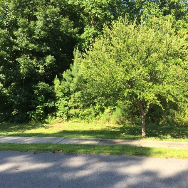 58 Crabcatcher Court - Photo 1