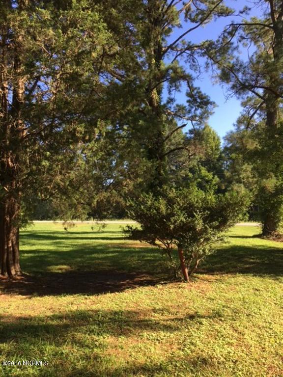 222 Nc 92 Highway E, Washington, NC 27889 (MLS #100023870) :: Century 21 Sweyer & Associates