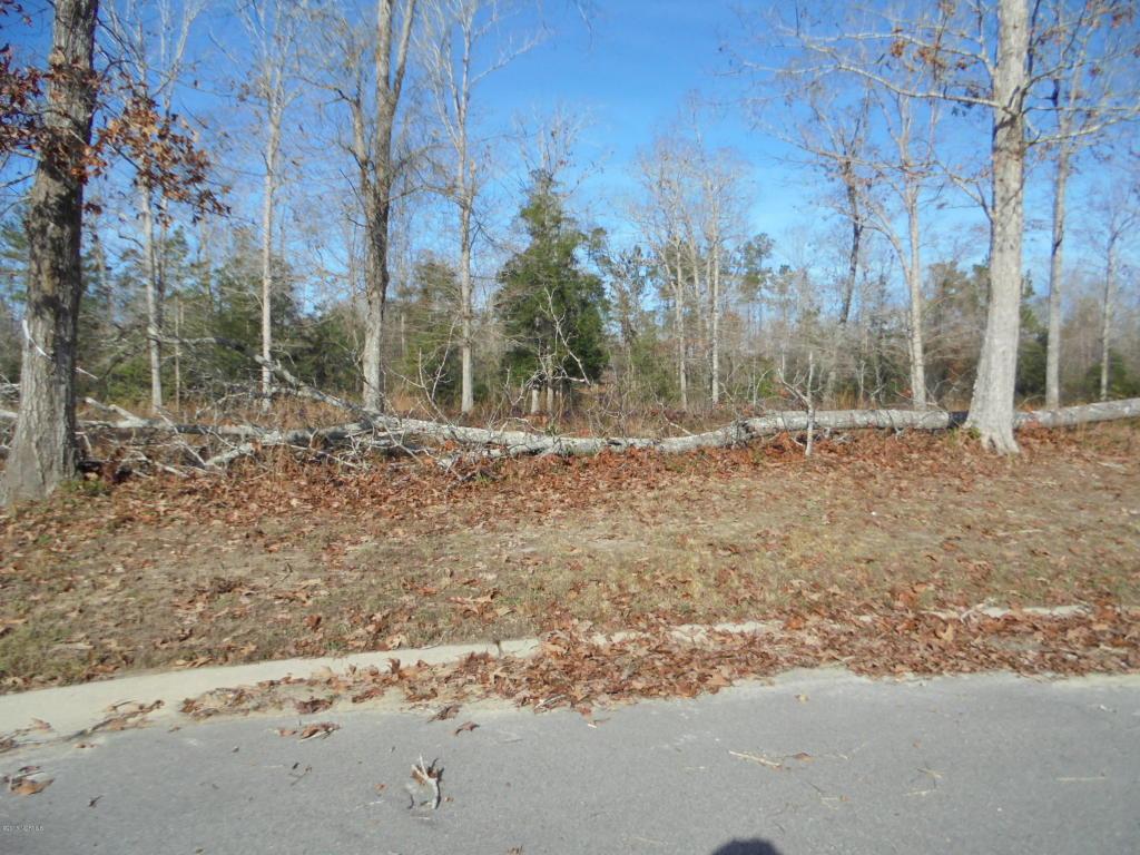 637 Squirrel Run Drive - Photo 1