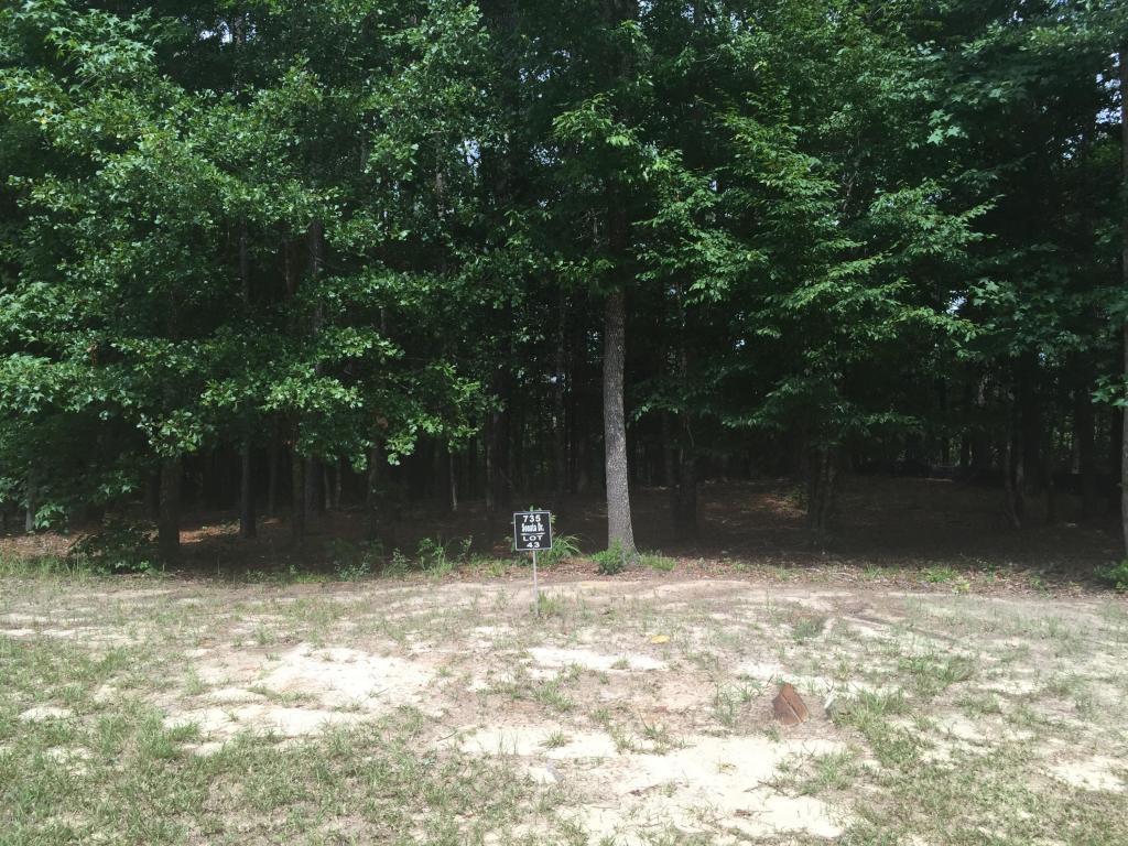 735 Sonata Drive - Photo 1