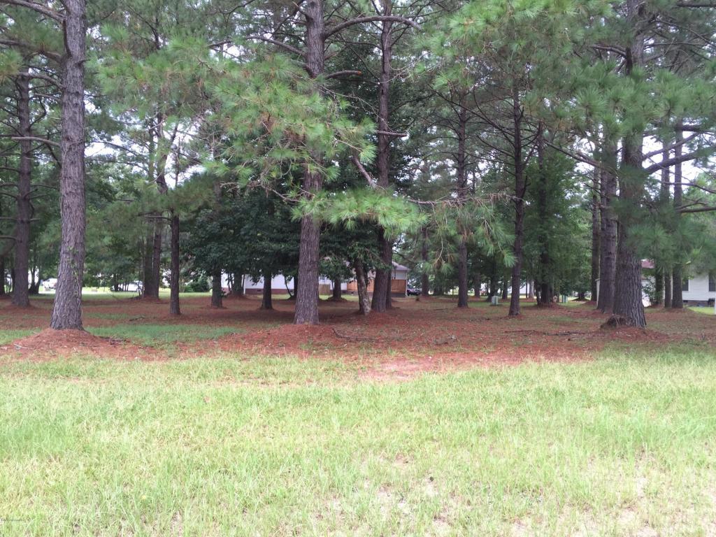 908 Palmer Drive - Photo 1