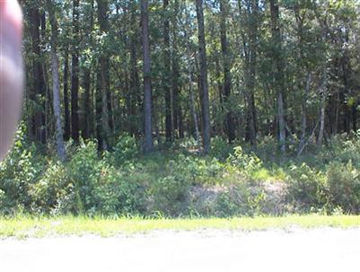 14 Myrtlewood Drive - Photo 1