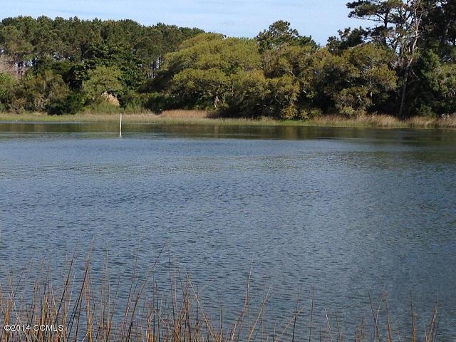 310 Quiet Cove, Gloucester, NC 28528 (MLS #100026793) :: Century 21 Sweyer & Associates
