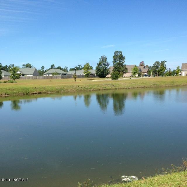 1241 Opaca Drive - Photo 1