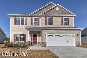 245 Sailor Street, Sneads Ferry, NC 28460 (MLS #100027097) :: Century 21 Sweyer & Associates