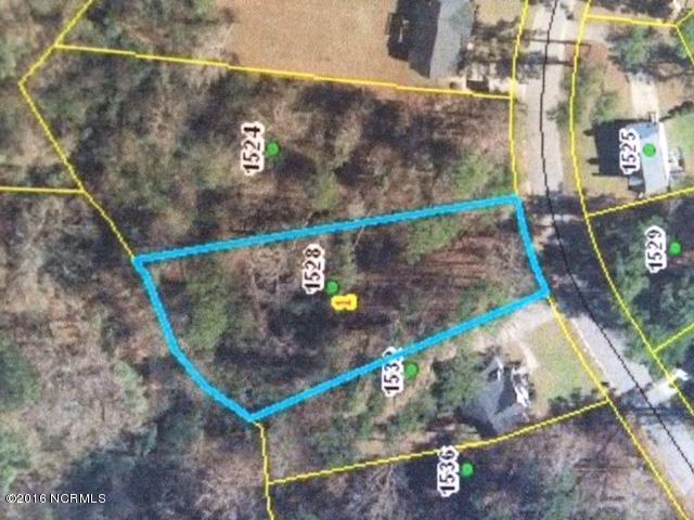 1528 Chateau Lane - Photo 1