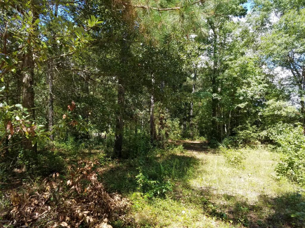 672 Stone Ridge Road SW, Supply, NC 28462 (MLS #100028422) :: Century 21 Sweyer & Associates