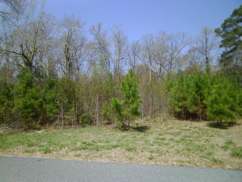 8974 Shady Forest Drive - Photo 1