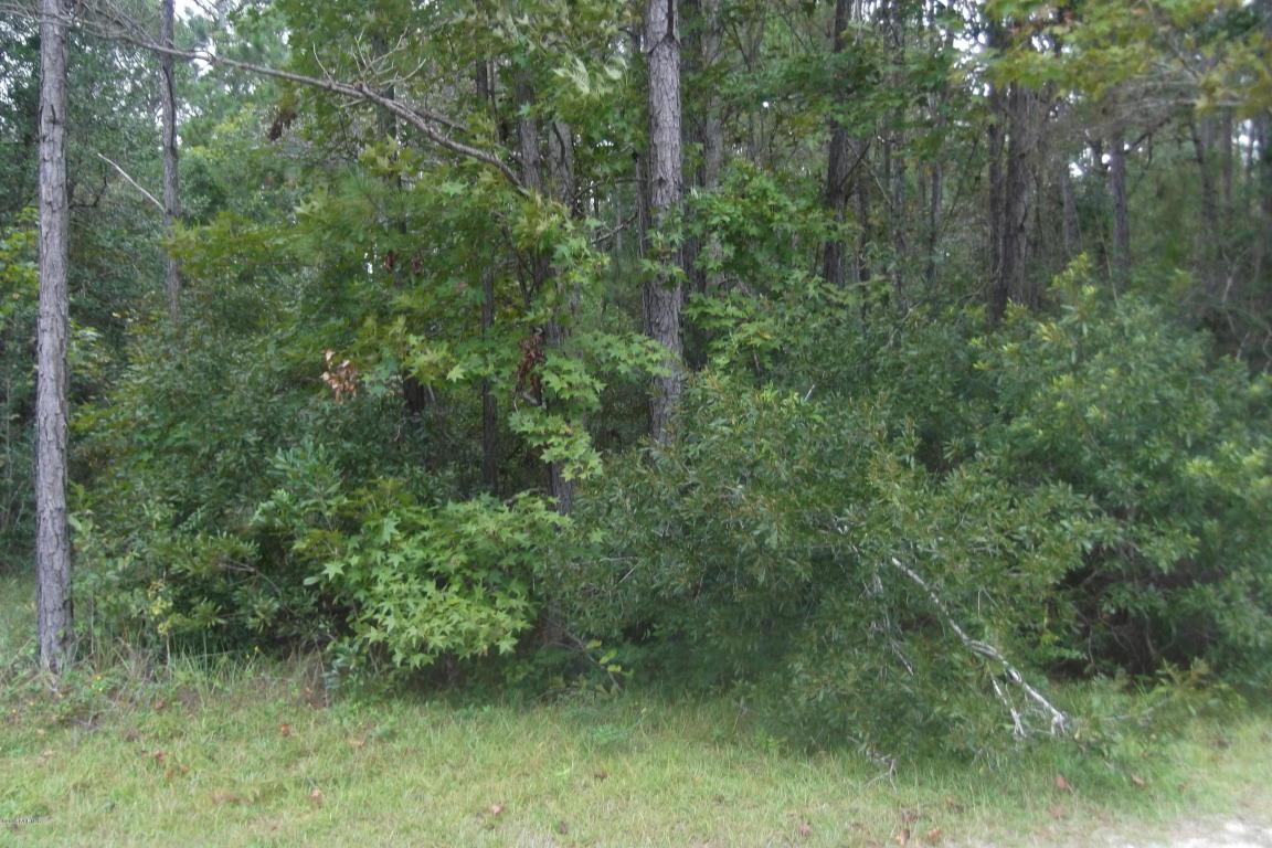 684 Southwind Drive SW, Supply, NC 28462 (MLS #100030731) :: Century 21 Sweyer & Associates