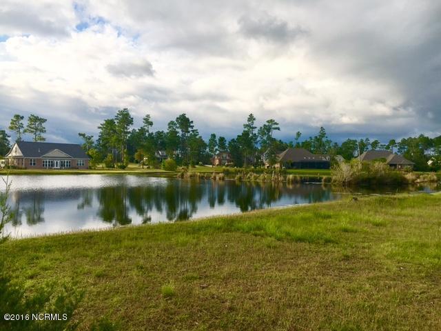 1166 Turnata Drive - Photo 1