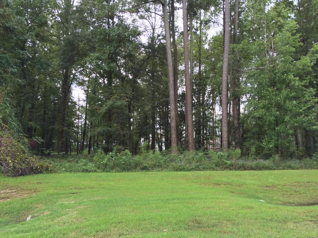 Lot 82 Winfield Lane, Pinetown, NC 27865 (MLS #100031292) :: Century 21 Sweyer & Associates