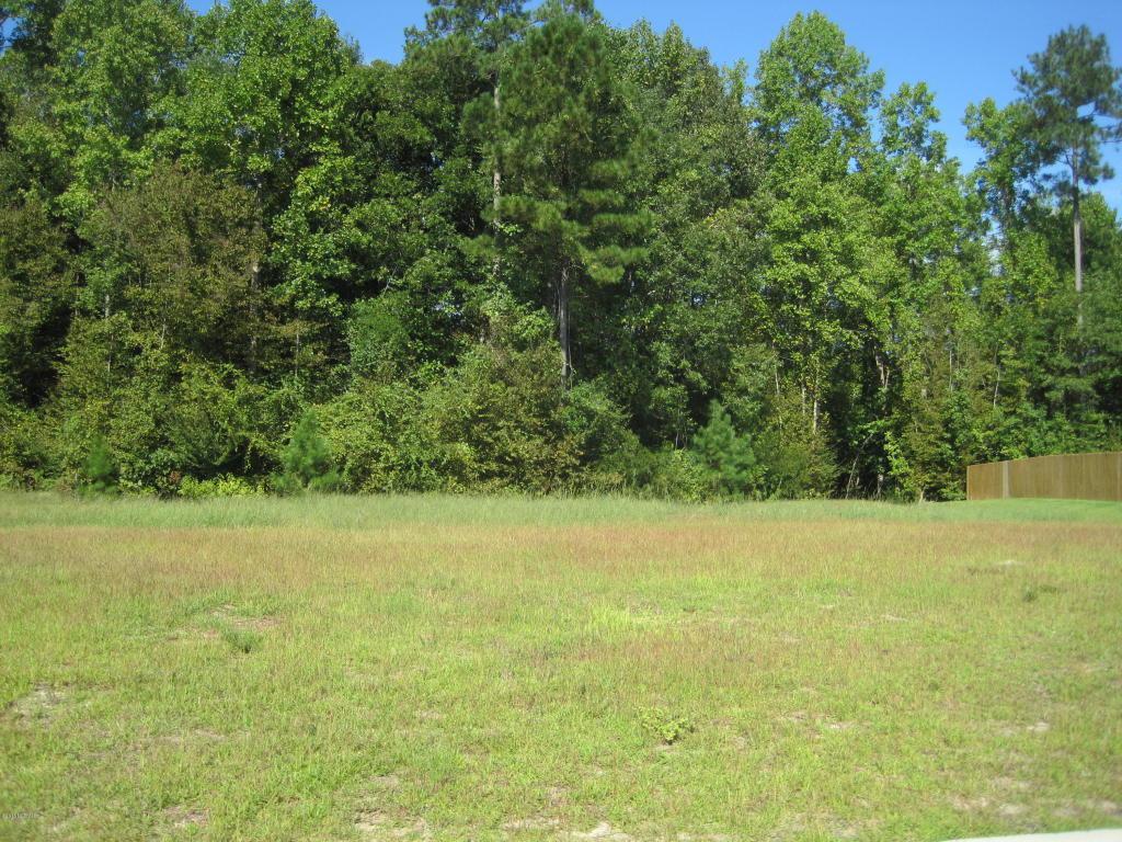 810 Oleander Street, Jacksonville, NC 28540 (MLS #100031461) :: Century 21 Sweyer & Associates