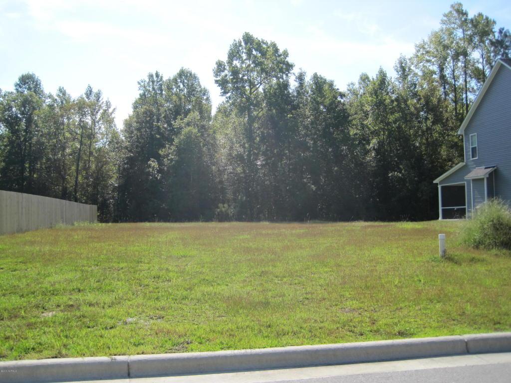 807 Oleander Street, Jacksonville, NC 28540 (MLS #100031468) :: Century 21 Sweyer & Associates
