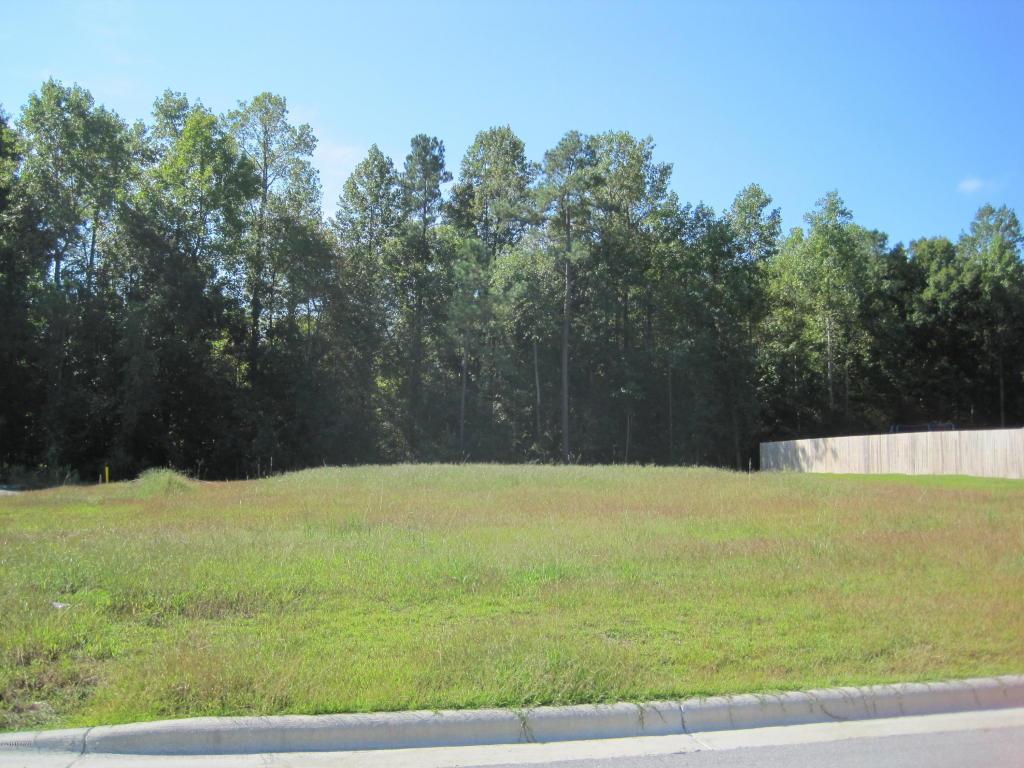 201 Pennington Street, Jacksonville, NC 28540 (MLS #100031469) :: Century 21 Sweyer & Associates
