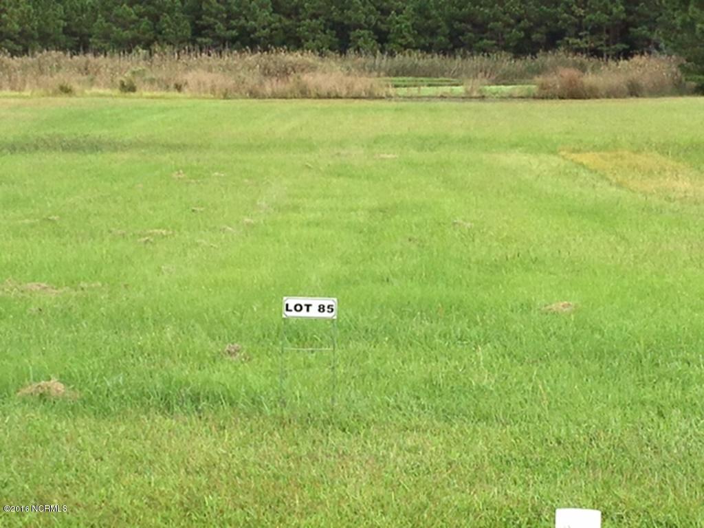 85 Dowry Creek - Photo 1