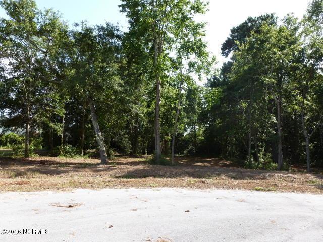 115 Elis Landing Lane - Photo 1