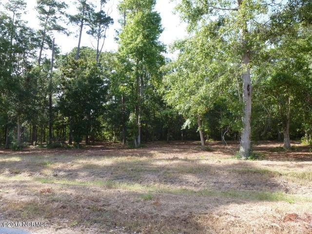 116 Elis Landing Lane - Photo 1