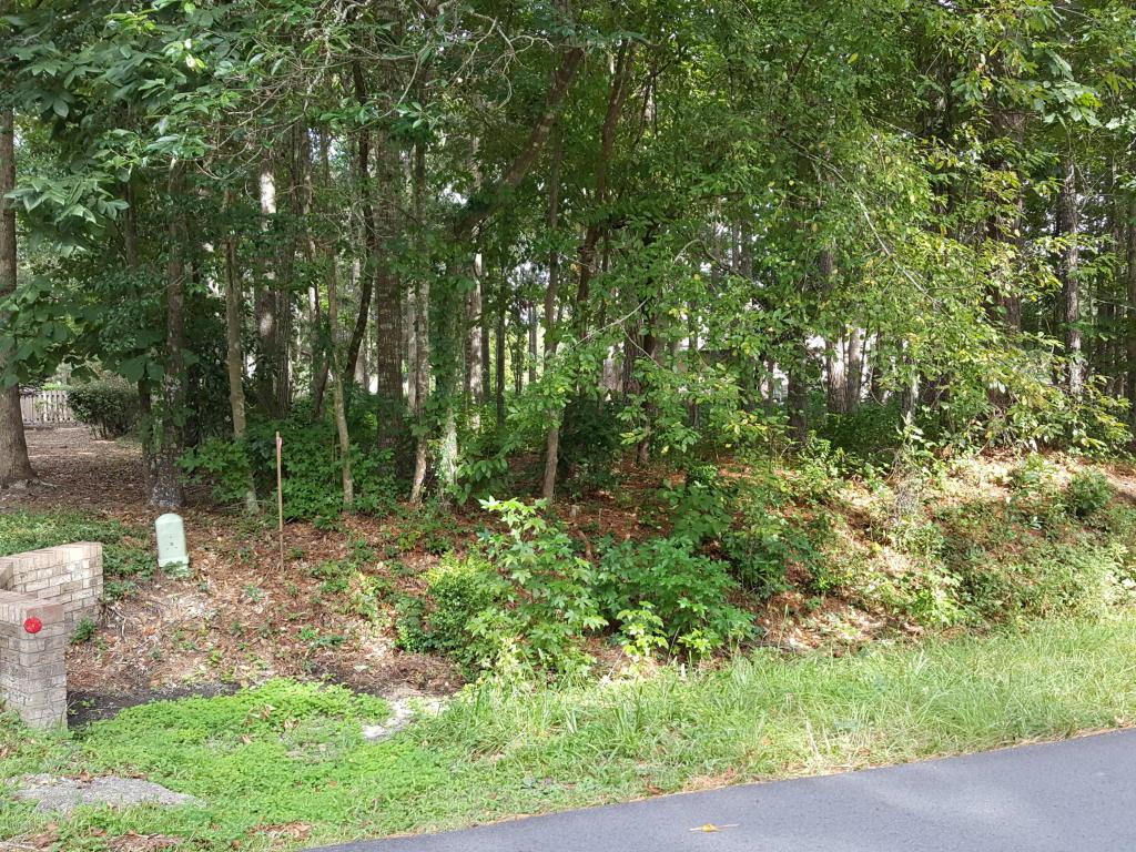 217 Ravenswood Road - Photo 1