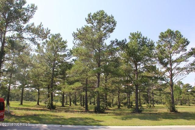 1008 Crosby Circle SW, Sunset Beach, NC 28468 (MLS #100032586) :: Century 21 Sweyer & Associates