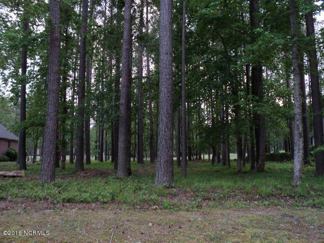 Lot 109 Potomac Drive - Photo 1