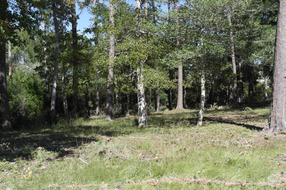 176 Genoes Point Road - Photo 1