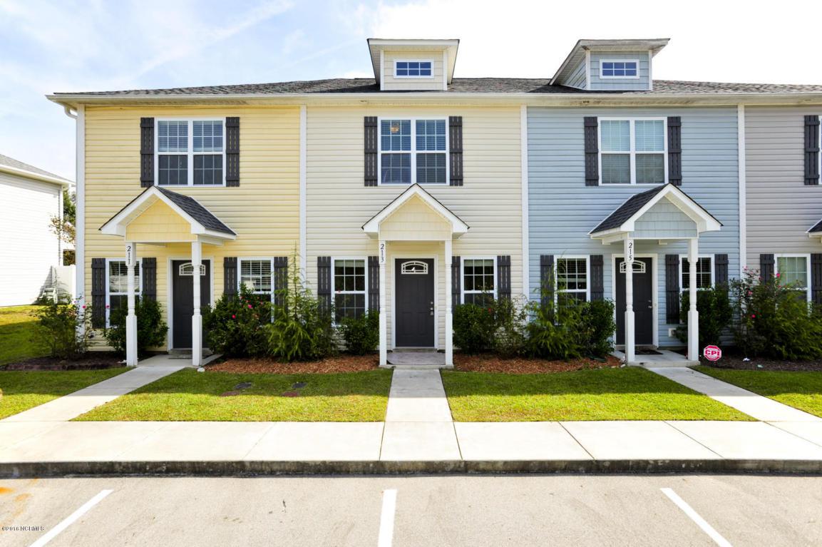 213 Toucan Way, Hubert, NC 28539 (MLS #100033838) :: Century 21 Sweyer & Associates
