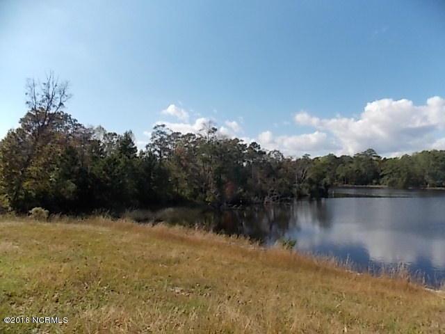 273 Everett Yopp Drive - Photo 1