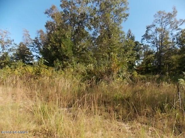 260 Everett Yopp Drive - Photo 1