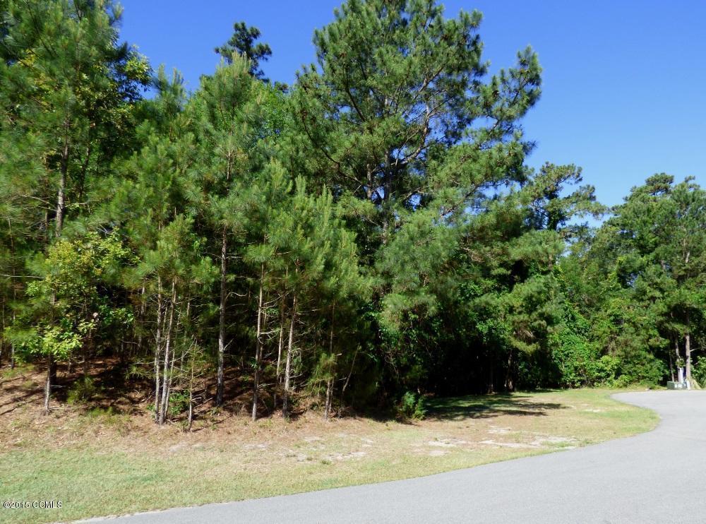 9811 Clarendon Drive - Photo 1