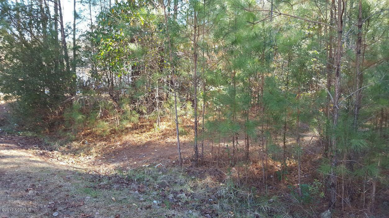 108 Seattle Slew Drive - Photo 1