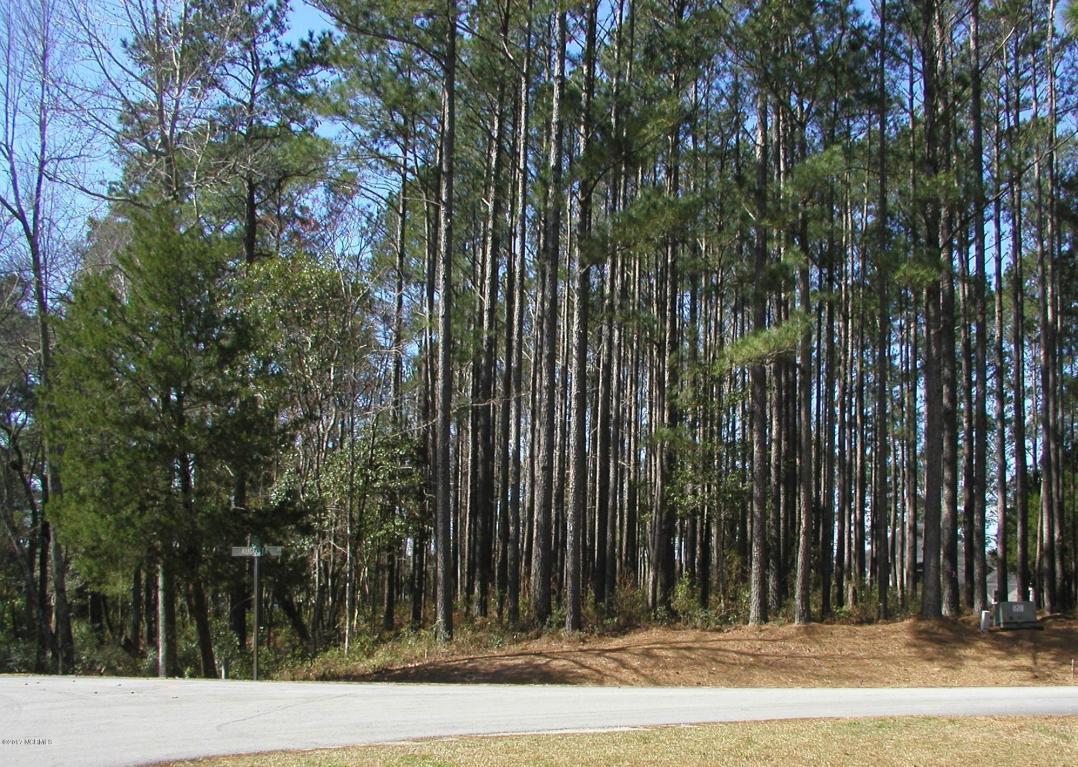 300 Augusta Court - Photo 1