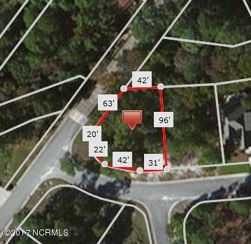 402 Blossom Tree Lane - Photo 1