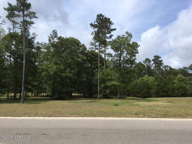 1422 Serrulata Drive - Photo 1