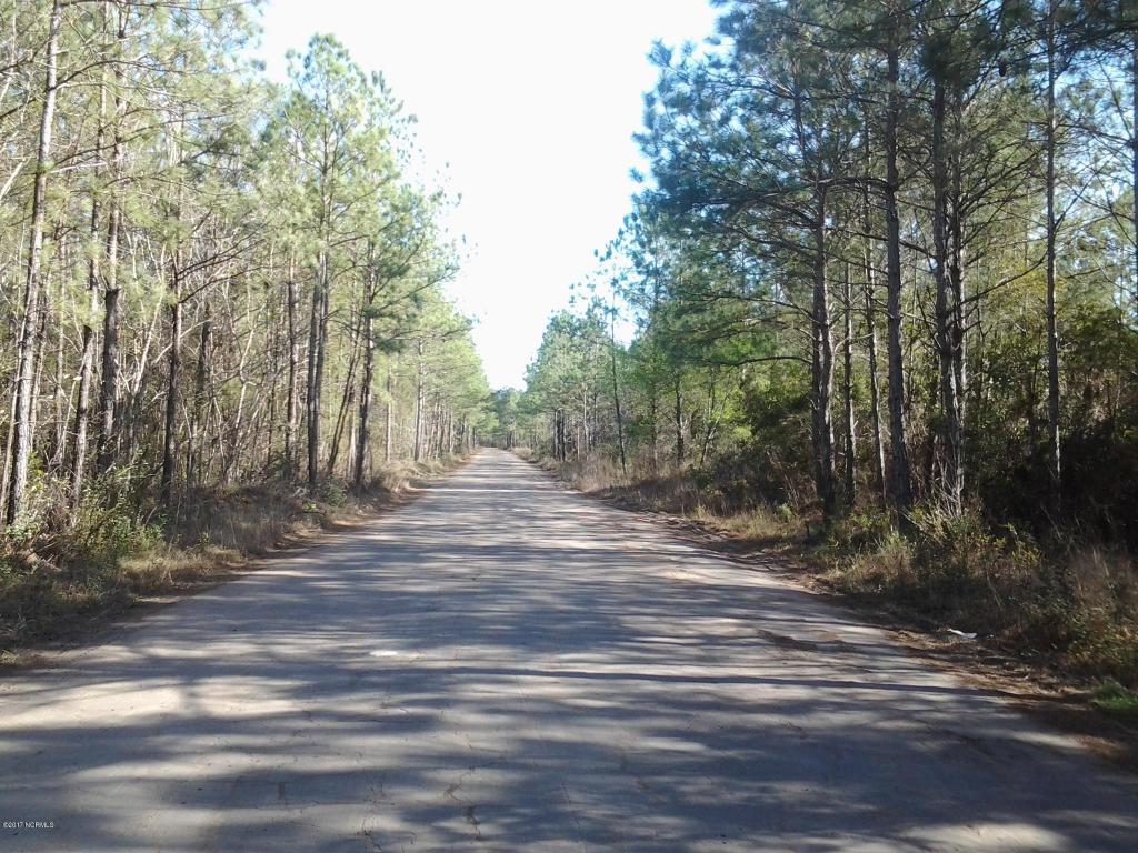 Tbd Us Hwy 17 - Photo 1