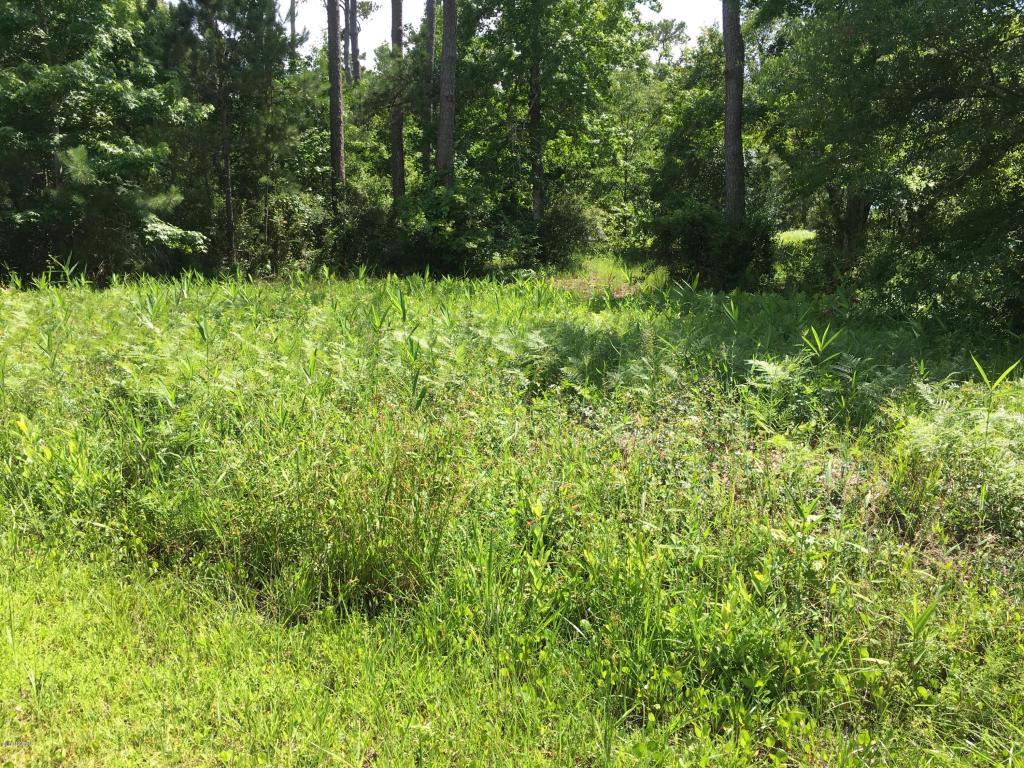 158 Stacy Loop Road - Photo 1