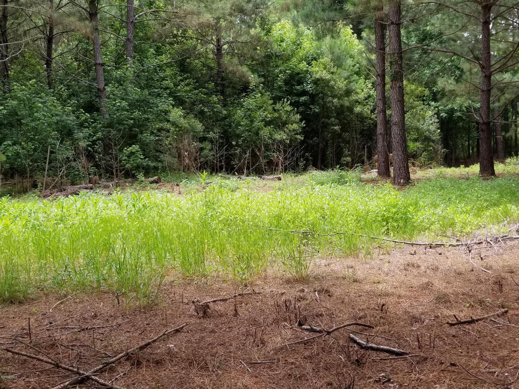 9204 Hart Drive - Photo 1