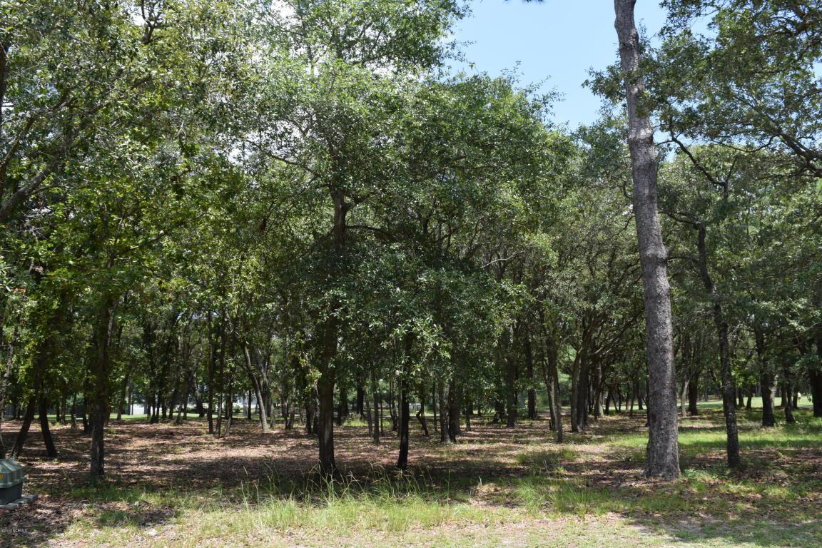 3084 Purple Finch Lane - Photo 1