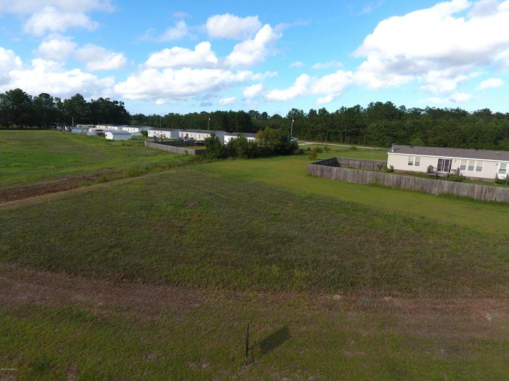 110 Paradise Acres Drive - Photo 1